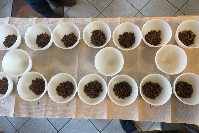 2-Hour Specialty Coffee tasting in Ljubljana - The first part: understanding specialty coffee