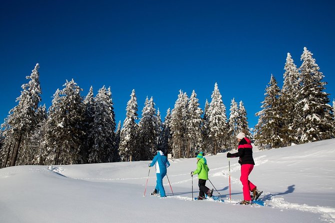 3-Hour Guided Snowshoeing Adventure in the Slovenian Alps - Key points at a glance