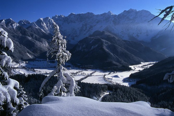 3-Hour Guided Snowshoeing Adventure in the Slovenian Alps - Following animal tracks through the Alps