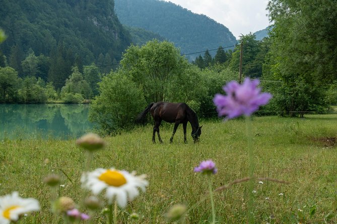 7 Alpine Wonders- Day Tour Bled, Soca valley, Slovenia - Peričnik Waterfall: the morning’s most unusual stop