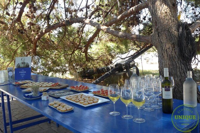 An Unforgettable Day With Fish, Wine and Olive Oil Tasting - Planning around weather and cancellation