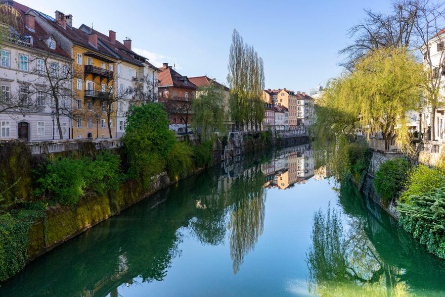 Best of Ljubljana: Private tour with Ljubljana born guide - Tasting the Central Market