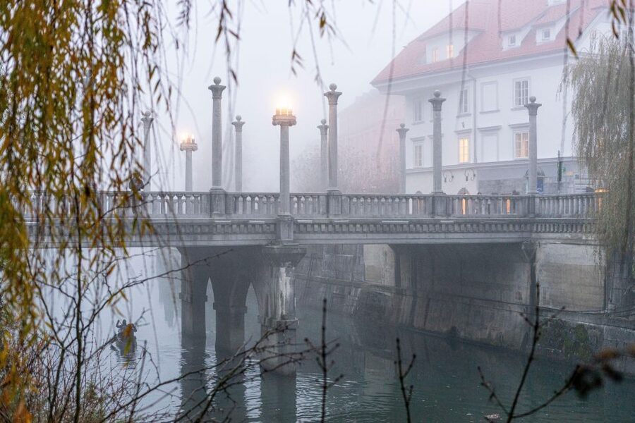Best of Ljubljana: Private tour with Ljubljana born guide - Accessibility, pickup, and planning details