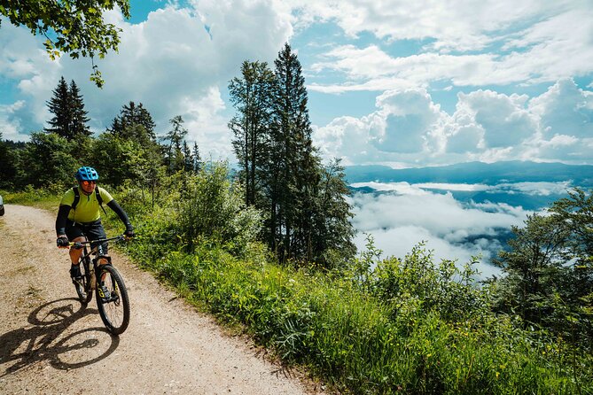 Bike Slovenia Green: Alps to Adriatic 8 days cycling tour - Day 7: Škocjan Caves and the final run to Koper