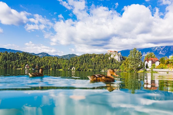 Bled & Bohinj lakes with Skofja Loka | Private trip from Ljubljana - Extra costs and the real value of $888.18