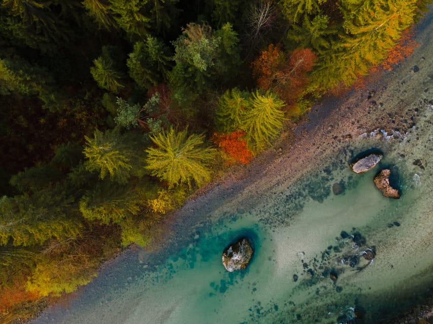 Bled: Sava River Kayaking Tour - Who Should Book This River Outing?