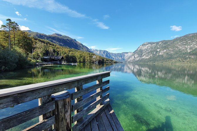 Bled to Lake Bohinj Trip - Pokljuka Plateau and its high pine forests