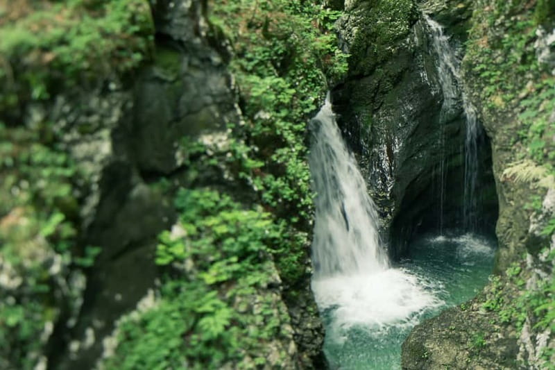 Bled: Triglav National Park Canyoning Adventure with Photos - Who will enjoy this most?