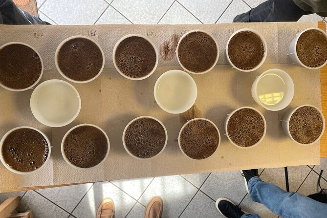 Coffee Sensory Training in Ljubljana - Starting at Dunajska c. 61 at 10:00 am