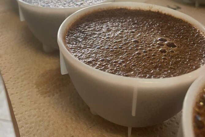 Coffee Sensory Training in Ljubljana - From basic tastes to professional sensory language