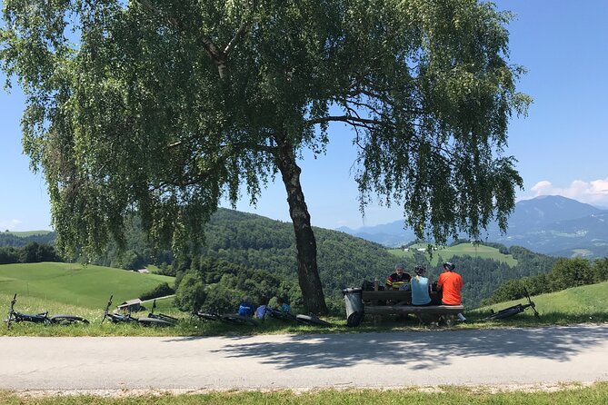 E-bike holidays: Trans Slovenia e-bike tour - Day 7: Vipava Valley vineyards and orchard roads