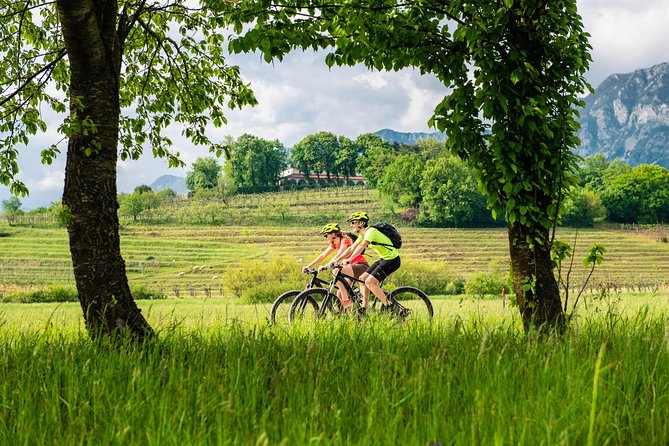 E-bike Vipava River Tour - Why this short Vipava Valley ride works