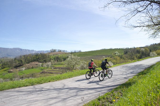 E-bike Vipava River Tour - Is $479.41 per person good value?