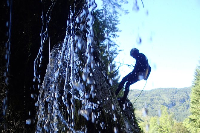 Exclusive - Private Bled Lake Canyoning Adventure - Who will enjoy it most?