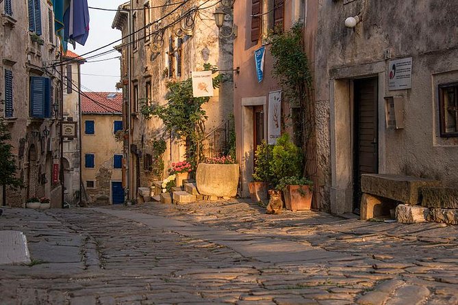 Flavours of Istria Tasting Experience from Koper - Grožnjan, where stone streets meet music and art