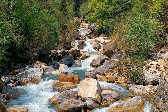 From Bled: Crystal River Hike - Price and value at $56.72