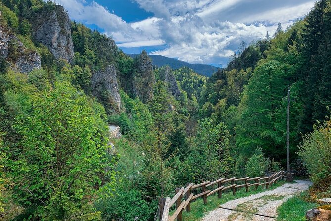 From Bled: Crystal River Hike - Why the water and scenery matter