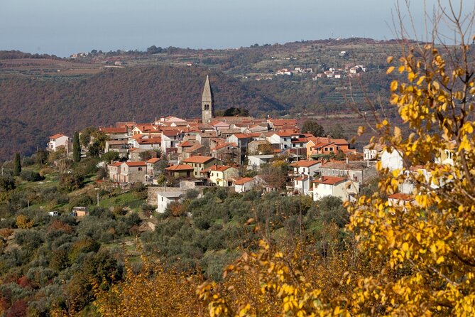 From Koper: Piran's Tastes and Tales - Padna village: where the tour earns its name
