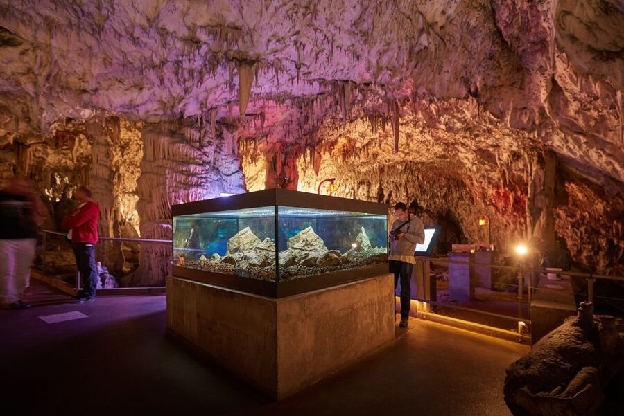 From Ljubljana: Lake Bled & Postojna Cave with Entry Tickets - Why this day trip works for a short stay
