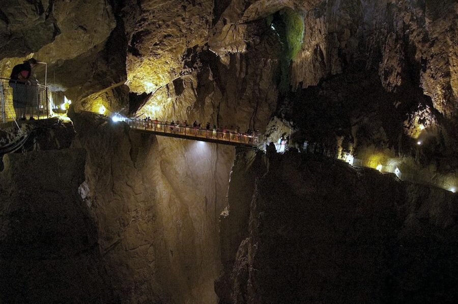 From Ljubljana: Lipica Stud Farm and Piran Full-Day Tour - Booking details worth knowing
