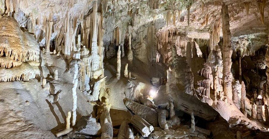 From Ljubljana: Postojna Cave Day Trip - Key points to know before booking