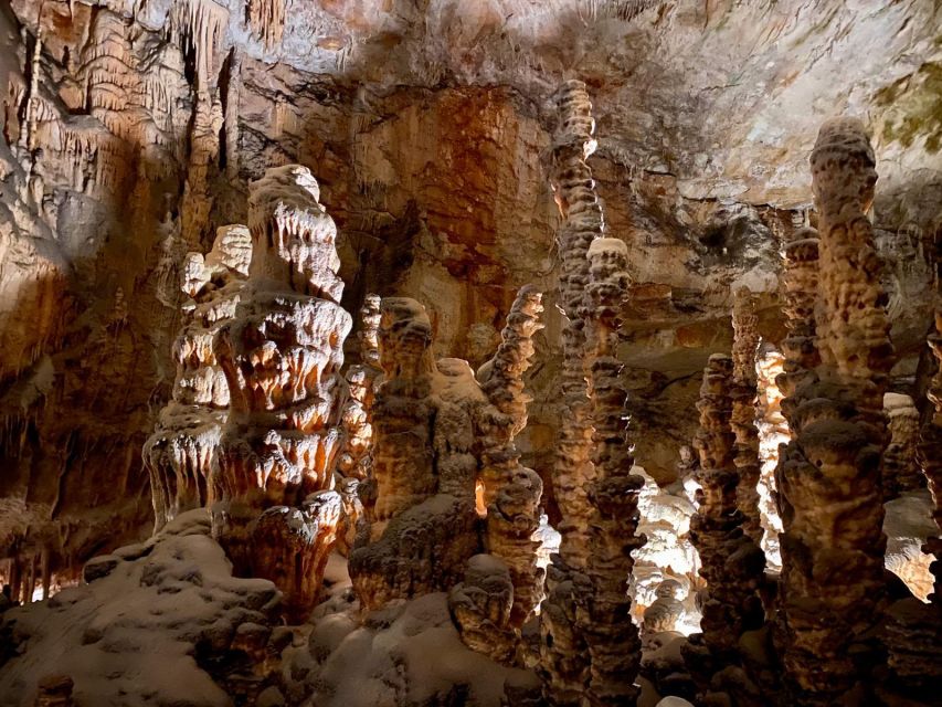 From Ljubljana: Postojna Cave Day Trip - Riding the little train underground