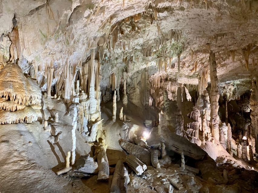 From Ljubljana: Postojna Cave Day Trip - Is $106 plus admission good value?