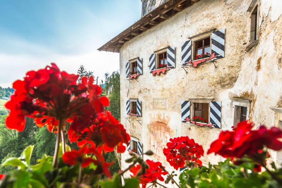 From Ljubljana: Postojna Cave, Predjama Castle and Lake Bled - Key details before you reserve