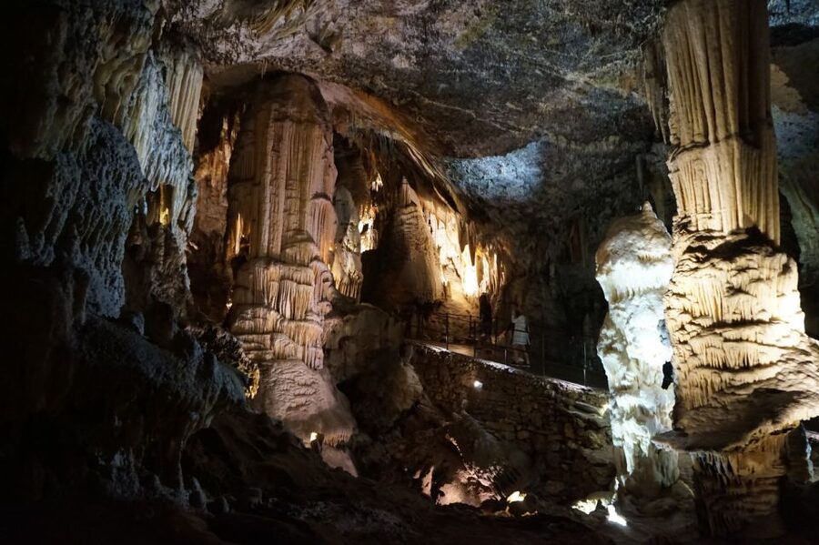 From Ljubljana: Postojna Cave & Predjama Castle Guided Trip - The dragon fish in the vivarium