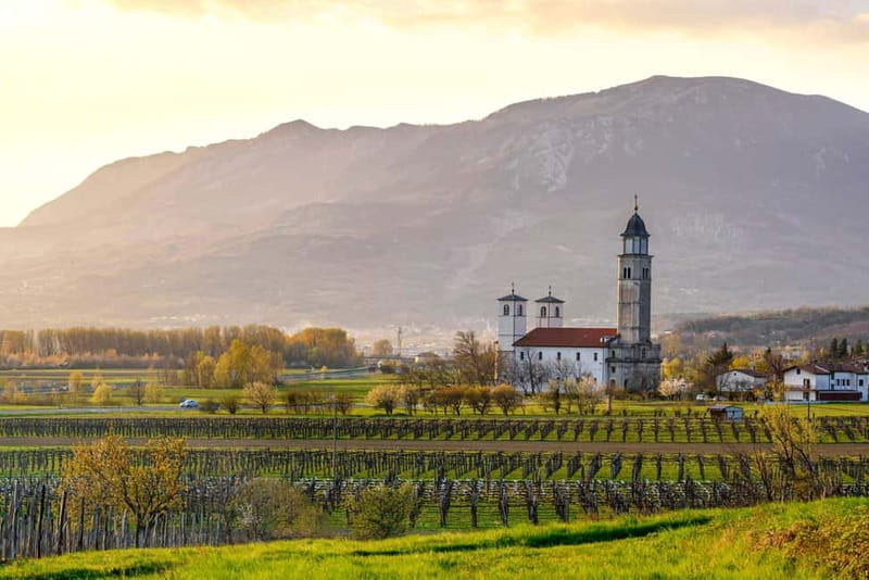 From Ljubljana: Vipava Valley Wine Express Tour - Why the Vipava Valley makes a good wine day