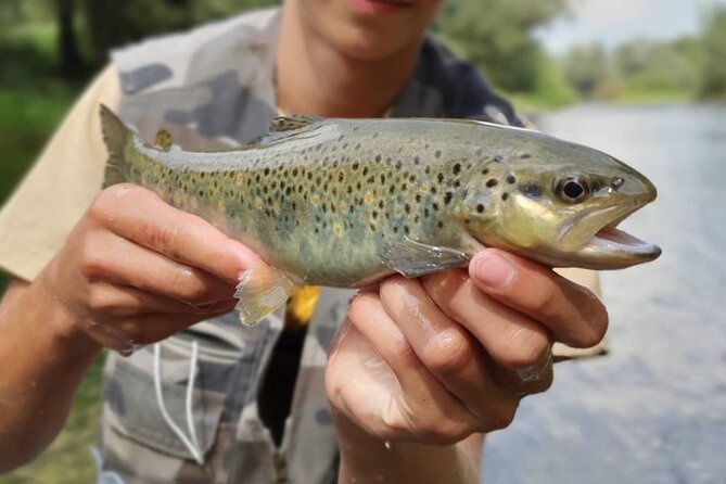Full Day Private Guided Fishing Charter along the Isonzo Front - Why this Soča outing feels different from a standard fishing trip