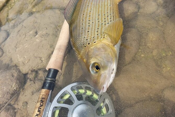 Full Day Private Guided Fishing Charter along the Isonzo Front - The Soča Valley: fishing with a sense of place