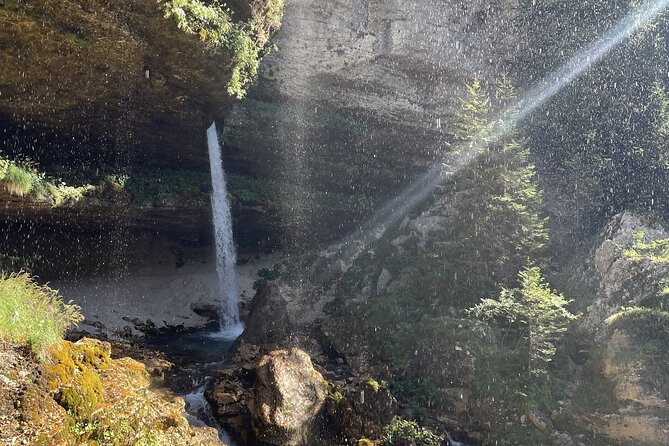 Full-Day Triglav National Park Tour from Ljubljana - Zelenci Nature Reserve and the Sava Spring