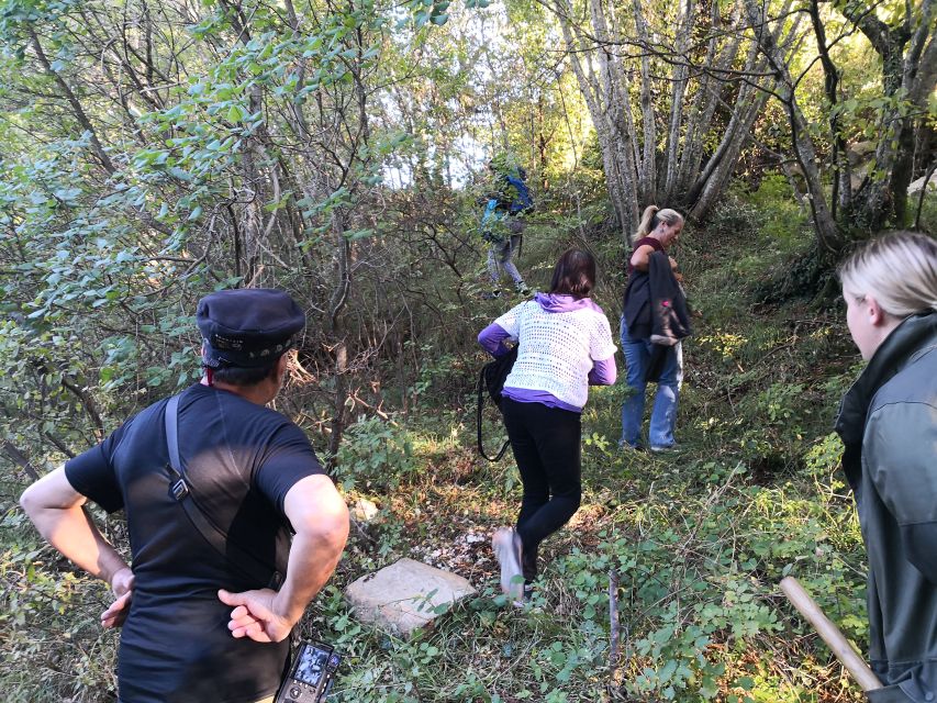 Gažon - Istria: Truffles Hunting & Cooking & Tasting - Key points to know before booking