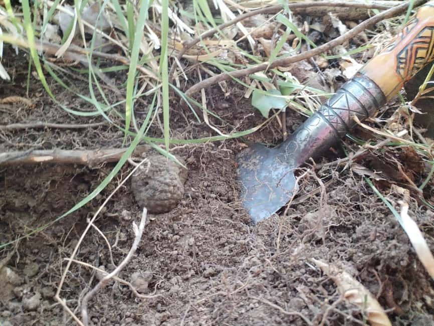 Gažon - Istria: Truffles Hunting & Cooking & Tasting - Cooking fuži with fresh truffles