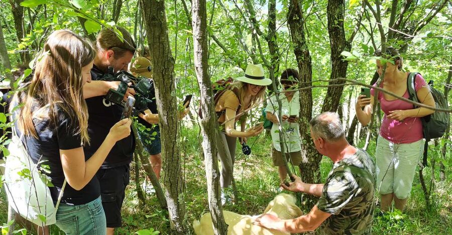 Gažon - Istria: Truffles Hunting & Cooking & Tasting - The first walk: leaving the bus stop for the hunt