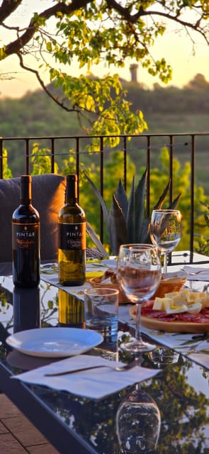 Goriška Brda: Wine Walk and Tasting - Should You Book the Pintar Wine Estate Visit?