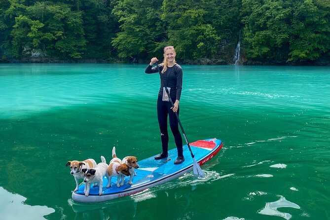 Half-Day Private SUP along Soca River - From Bovec to the river