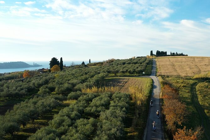 Half Day Vespa Countryside Tour and Tastings in Istria - Is the $336.39 group price good value?
