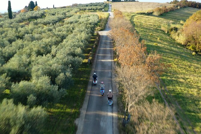 Half Day Vespa Countryside Tour and Tastings in Istria - Secovlje salt flats and the first open views