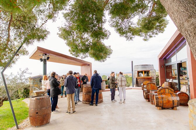 Hop & Taste Slovenian Riviera Hop-On Hop-Off & Local Bites - The relaxed ride back to Koper