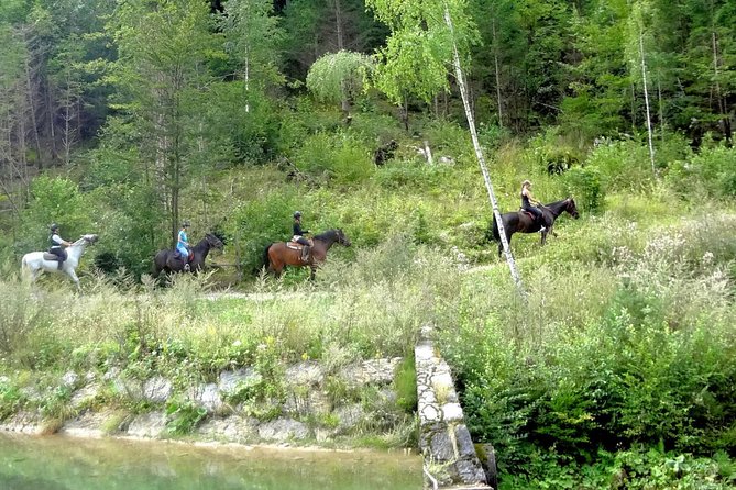 Horse Riding in Bled - From Bled’s Bus Station to the Farm
