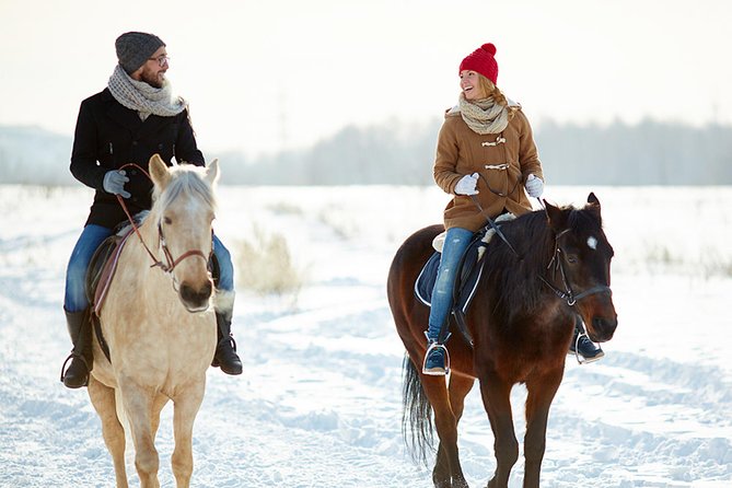 Horse Riding in Bled - Choosing a Trail Around Lake Bled