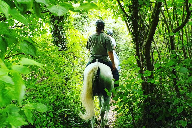 Horseback Riding In Bled - Timing, pickup, and what to bring