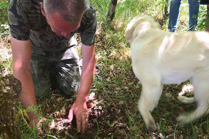 Istria - Truffles: Hunting & Cooking & Tasting, Slovenia - Who will enjoy this most?