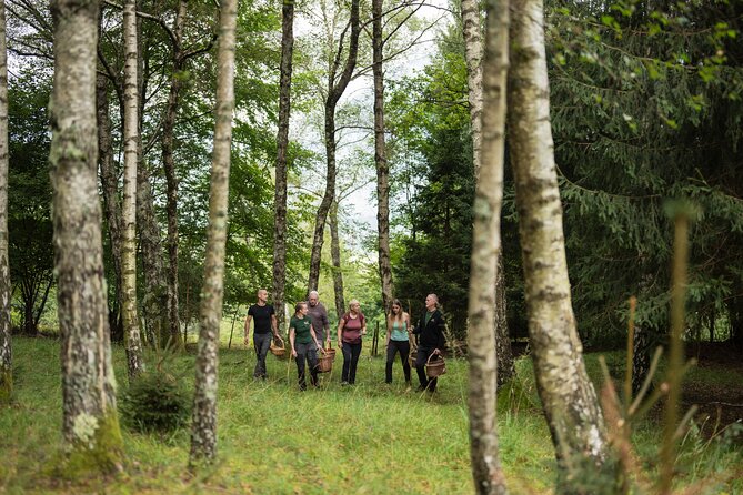 It Smells Like Mushrooms - Why this Bovec outing feels different
