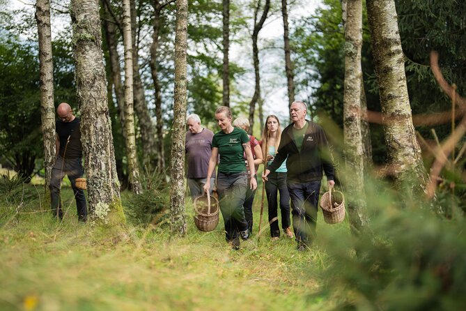 It Smells Like Mushrooms - Into the Bovec forest with a basket