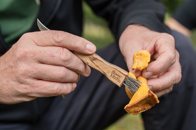 It Smells Like Mushrooms - Learning the difference between a meal and a mistake