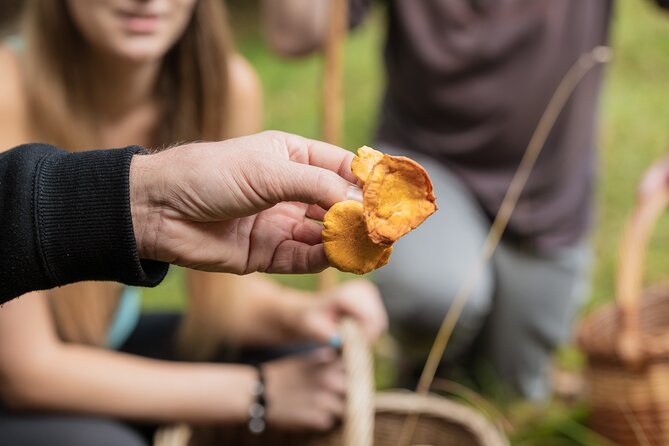 It Smells Like Mushrooms - Weather, timing, and the practical side