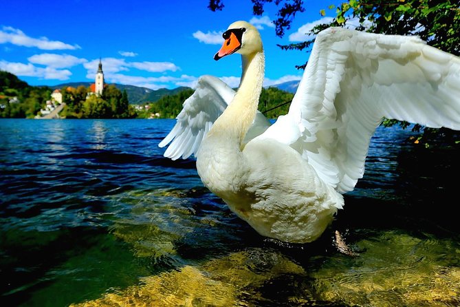 Lake Bled Half Day Excursion from Ljubljana - Can you add Vintgar Gorge?
